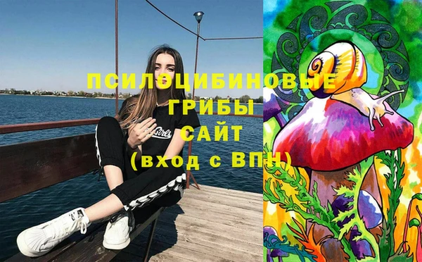 apvp Красноперекопск