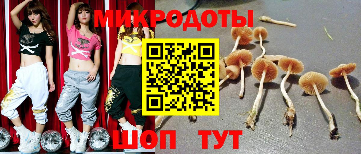 Псилоцибиновые грибы MAGIC MUSHROOMS  Вход с VPN  Альметьевск 
